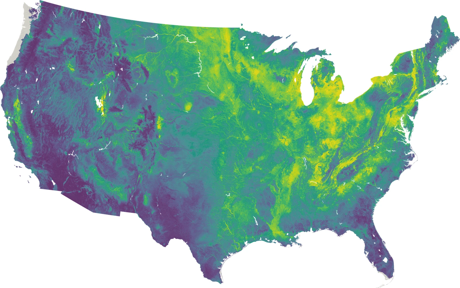 Acer negundo: DeepEarth native range, contiguous United States at 240 m
